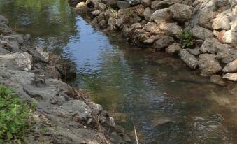 Maple Creek Bed&Breakfast