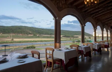 Hotel & Spa Arzuaga Отели в г. Оливарес-де-Дуэро