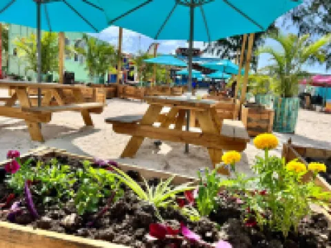 อีเดน ออน เดอะ ซี