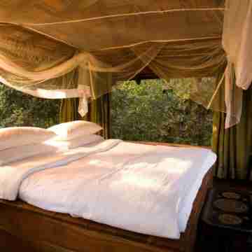 Baghvan Pench National Park - A Taj Safari Lodge Rooms
