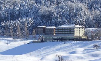 Hotel Bad Ramsach