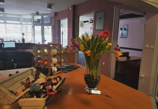 호텔 밀레니엄 오시예크