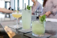 拉德福海蘭德飯店 - 酒吧