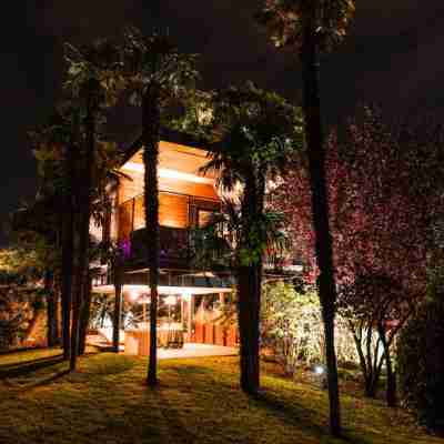 樹洛奇 Hotel Exterior