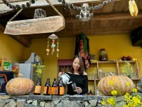 Motogo Home Hotels in Lung Cu