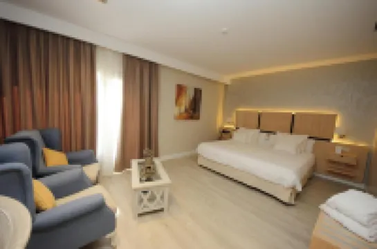 Hotel Château Viñasoro Hotels in 