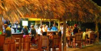 Royal Caribbean Resort - bars