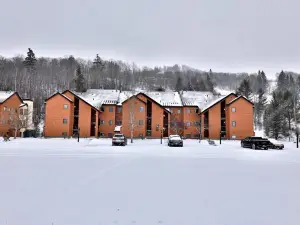 Beautifully Decorated 3 Bedroom Condo Nestled Slopeside on Pico Mountain Ski-in Ski-Out G101
