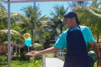 Pousada Villa Bougainville Maragogi - bar