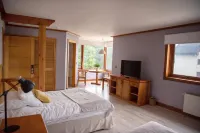 Hotel Puelche Hotels in 