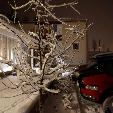 Kristinebergs Bed & Breakfast