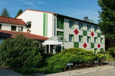 Hotel Schleifmühle Отели в г. Дильмиссен