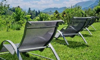 Akzent Hotel Alpenrose