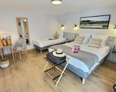 Logis Hôtel du Cygne Hotels in Bracieux