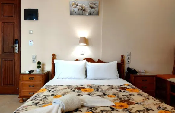 安娜根尼希斯酒店