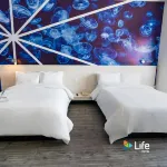 Life Hotel Hotels in San Jacinto Amilpas