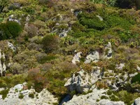Il Vicolo B&B Hotels in Milazzo
