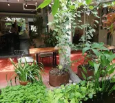 Cinco Hotel B&B - Pet friendly