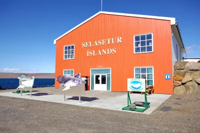 Albert Guesthouse Hotels near Hvitserkur