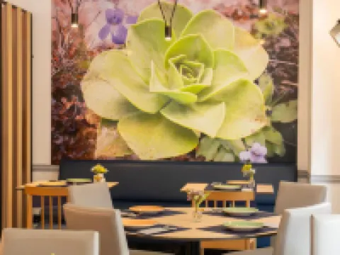 維洛爾酒店 拉斯帕爾馬斯省酒店