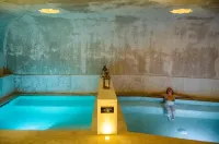 Hábitat Cigüeña Negra - Hot Springs
