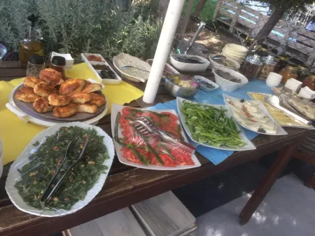 Ege HAN Hotel Отели в г. Бозджаада