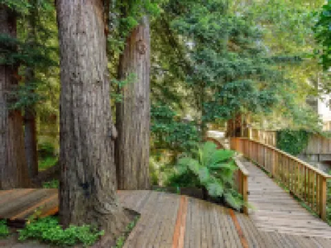 Mill Valley Inn Hotels in Mill Valley