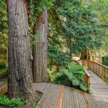 Mill Valley Inn