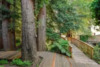 Mill Valley Inn Отели рядом с достопримечательностью «Виллидж эт Корте Мадера»