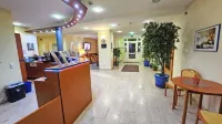 Hotel Amadeus Dresden Neustadt Hotels in Dresden