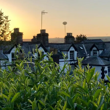 Bron-Y-Graig