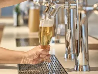 Setre Highland Villa Himeji - bar