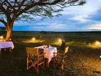 Africa Safari Serengeti Kusini - bar