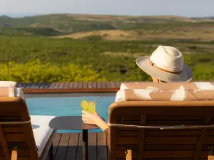 納比迪山私人獵區旅店
