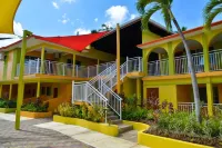 Coco la Palm Hotels in 