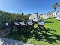 Hotel la Pergola Hotels in Alba Adriatica