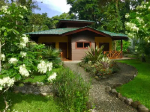 Oasi Hotels in Cahuita