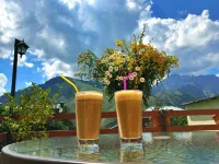Guest House Elguja Qushashvili فنادق في Kazbegi