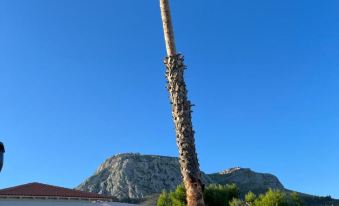 Octavia Comfort Bungalows with Amazing View