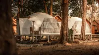 Eco Lanta Hideaway Beach Resort