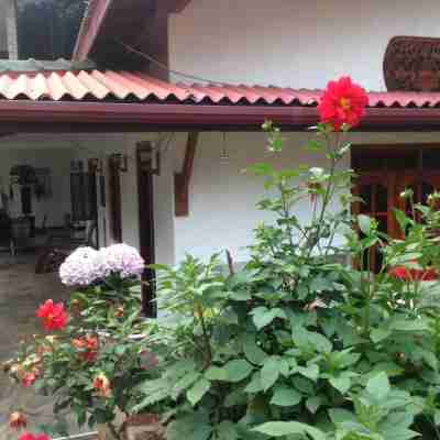 Hamadhi Guest Hotel Exterior