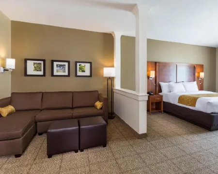 Comfort Suites Hartville-North Canton Hotels in Stark County