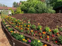 Bridge Farm Guesthouse Rooms Hotels in 