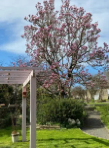 Atipyk'Ododo Hoteles en 