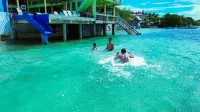 Sascha's Resort Oslob - รีสอร์ท