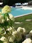 라 비 앙 로즈 부티크 B&B 아르덴넨 - 셰랭 - 수영장