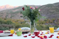 Dar Adouss Hotels in Tamatert