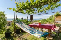 아파트먼트 일린카