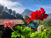 Ella Flower Garden Resort - Romantic