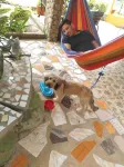 La Casita de Don Daniel Hotels in 